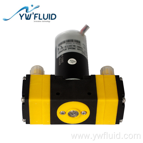 Double Head Diaphragm Pump Brushless Oil-free Water Pump